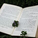 Foto von einem offenen Buch, das auf grünem Gras liegt. Auf den Seiten liegt ein kleiner Zweig mit lila Blüten.